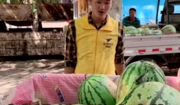 吃瓜视频爆料搞笑段子,笑料百出！吃瓜视频爆料搞笑段子大盘点